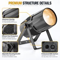 Projecteurs LED COB DMX Zoom 300W Blanc Chaud en Aluminium Étanche IP65 pour Spectacles de Scène en Parc à Thème Extérieur