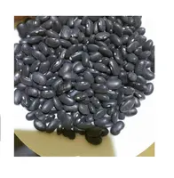 TEKUR BOLOKE 에티오피아 대량 말린 검은 신장 콩 도매