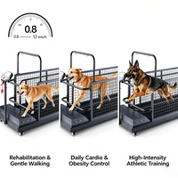 EUR PET 5HP Elektrisches Wasserdichtes Hunde- und Katzen-Agility-Trainings-Laufband mit Inverter-Motor Automatisches Zweiwege-Trainingsgerät aus Edelstahl