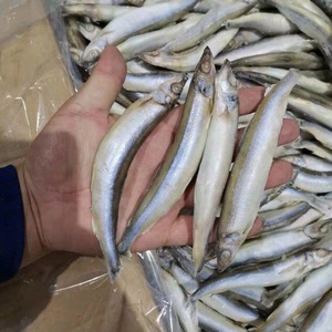 SANFENG makanan laut harga grosir ikan Capelin Frozen Shishamo untuk Vietnam