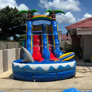 Toboggan aquatique géant gonflable en forme de <span class=keywords><strong>dauphin</strong></span> pour <span class=keywords><strong>parc</strong></span> aquatique commercial - Product Image 4