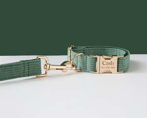 Ensemble collier et laisse personnalisés pour chien avec nœud papillon en velours côtelé vert, porte-sac à excréments et harnais anti-traction pour chiot mâle - Product Image 5