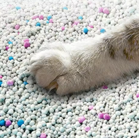 Litière pour chat en gros, 5 kg, directement de l'usine, anti-odeur, café, citron, lavande, en forme de boule, agglomérante, à base de bentonite
