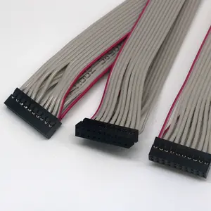 Custom Wire Harness Manufacturer 4 6 8 10 12 Way 2 Row Dupont 2.0 Flat Ribbon Wire Harness Dupont Ribbon Cable