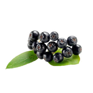 Лидер продаж, Экстракт Ягод аронии, порошок, порошок ягод аронии, порошок, порошок ягод - Product Image 3