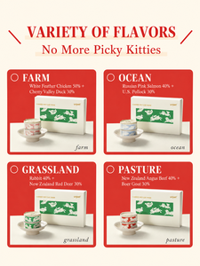 Premium Komplettes Nassfutter für Katzen im <span class=keywords><strong>Multipack</strong></span> mit Huhn & Ente und Kaninchen & Wildschwein, 510g pro Packung - Product Image 2