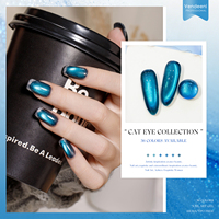 Vendeeni Nouvelle Collection de Vernis à Ongles Gel Effet Œil de Chat Bleu Tyndall 36 Couleurs TPO Sans HEMA OEM Fournitures de Salon