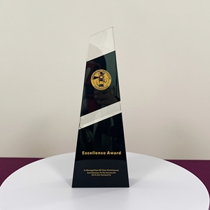 Trofeo de cristal negro personalizado, medalla de premios corporativos de alta calidad y placas para regalos de bienvenida de seguros - Product Image 2
