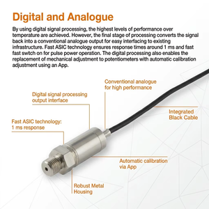 Sensor de Silicio Micromecanizado de Alta Precisión con Cuerpo de Acero Inoxidable 316L y Procesamiento Digital - Product Image 3