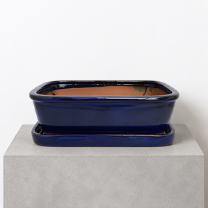 Maceta Rectangular de Terracota Azul Cobalto para Bonsái, Maceta de Cerámica <span class=keywords><strong>con</strong></span> <span class=keywords><strong>Plato</strong></span> para Escritorio y Hogar - Product Image 1