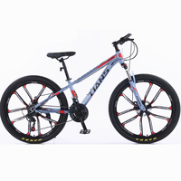 Vélos de montagne en alliage fabriqués en usine / Bicicletasbon Rin 29 de VTT à vendre / VTT 21 vitesses à grandes roues