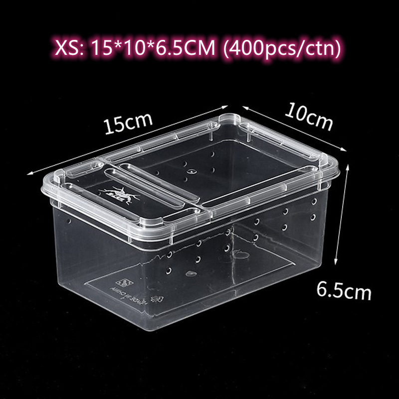 Transparent/Noir- XS