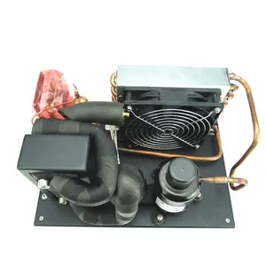 dc 24v R290 mini refrigeration unit water cooling chiller for portable cooling system