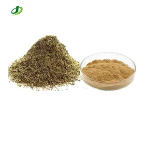 herbal Thymus mongolicus Ronn Extract Thymus vulgaris Extract powder 10:1