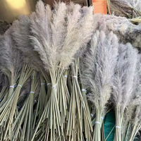 Harga Grosir Pabrik Rumput Pampas Kering Alami Laris Manis Rumput Pampas Awet untuk Buket Pernikahan dan Dekorasi Rumah