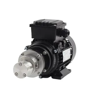 High Quality 220V 380V 180W System Pressure -0.5-5 bar Micro AC Fuel Pump Hot Water circulation pump