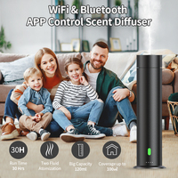 Diffuseur d'arômes portable sans eau, rechargeable par USB, nébuliseur sans fil silencieux, grand diffuseur de parfum pour la maison et le bureau