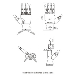 Inspire RH56BFX-2L RH56BFX-2R RH56DFX-2L RH56DFX-2R Robot Multi-DOF con Cinco Dedos, Mano Diestra, Proveedor - Product Image 6