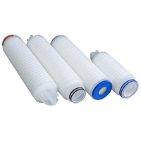 Cartouche filtrante en membrane PTFE hydrophobe 0,22 µm abordable, filtre de ventilation économique 10 pouces pour réservoirs ou air de processus basique