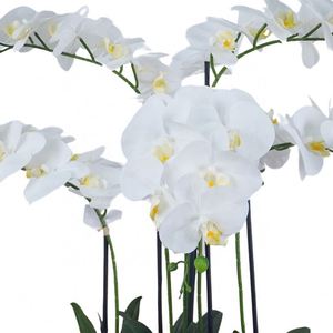 Oh Arts Fleurs Artificielles, Orchidées Artificielles, Phalaenopsis en Soie au Toucher Réel, Orchidées Près de Chez Moi, Fleur d'Orchidée - Product Image 3