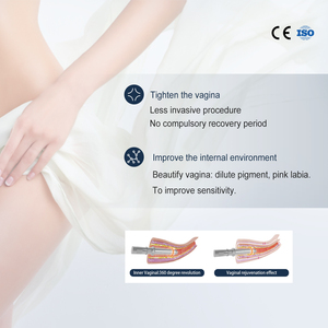 Máquina Profesional de Belleza para el Cuidado Corporal, <span class=keywords><strong>Láser</strong></span> de CO2 de 10600nm, Eliminación de <span class=keywords><strong>Cicatrices</strong></span> Fraccionada, Rejuvenecimiento de la Piel, Uso Comercial - Product Image 4