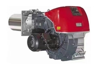 Chaudière à vapeur de polystyrène expansible en polystyrène Machine de moulage de forme pour ligne de production de glacière de poisson végétal EPS