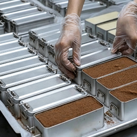 Boîtes en métal vides personnalisées avec logo, avec couvercle à boucle de verrouillage, qualité alimentaire, pour l'emballage de gâteaux et biscuits