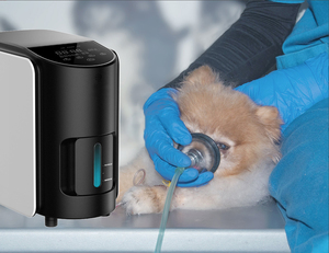 <span class=keywords><strong>PSA</strong></span> Mini mquina oxy-tập trung máy cung cấp 4L oxy Máy phát điện nhỏ 4 lít xách tay oxygene tập trung - Product Image 6