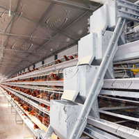 Cages à volailles entièrement automatiques à bas prix pour l'élevage avicole