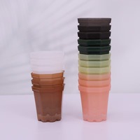 Pot de pépinière en plastique transparent de 9,8*9,5 cm, petit pot à fleurs pour plantes succulentes