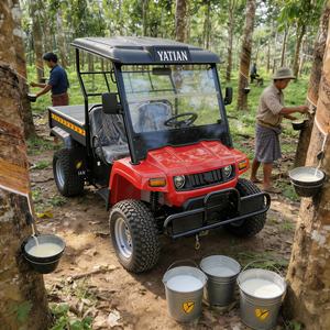 UTV tout-terrain 4x4, style Gator, pour la ferme et la chasse - Product Image 2