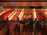 Nouvelle machine à griller commerciale de conception innovante pour poulet, kebab, agneau, porc et bœuf
