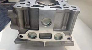 Culasse de moteur pour Nissan <span class=keywords><strong>Patrol</strong></span> <span class=keywords><strong>GR</strong></span> <span class=keywords><strong>Y60</strong></span> Y61 TB48DE, qualité OEM - Product Image 4