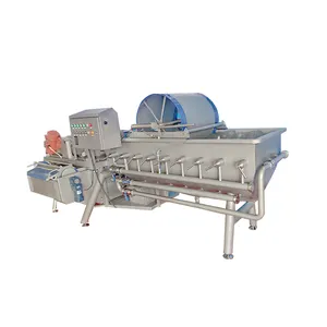 Fruit And Vegetable Purifier Cleaning Machine Industrial Carrot Washing Machine Washing Machine For Fruit