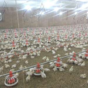 Equipo de llenado de arroz, - Product Image 6