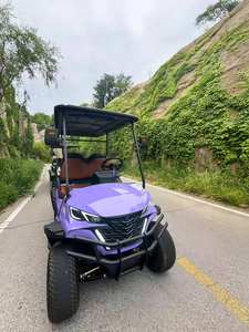 Carrito de Golf en Venta, 4 Plazas, Buggy de Acero para Pasajeros, Mini Carro de Golf Eléctrico con Certificación Dot CE GCC EEC para Carreteras No Públicas - Product Image 5