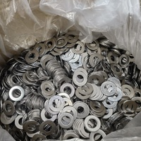Competitive Price DIN125 Flat Washer Duplex Stainless Steel X2CrNiN22-2 1.4062h S32202 Customized OEM ODM Washers