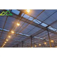 Éclairage Supplémentaire à Sodium Haute Pression (HPS) pour Serres Commerciales, pour la Croissance des Plantes, Durée de Vie de 25 000 Heures, 150 000 Lumens