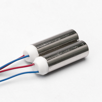 Moteur CC à balais étanche JRX 0724-1 7*24mm 1.5V à couple élevé pour appareils électroménagers, vibrateurs sexuels, brosse à dents à aimant permanent