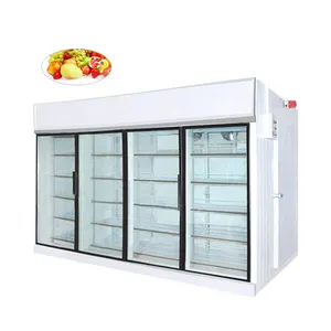 cold room container freezer vegetables cold storage room for sale