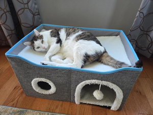 Foldable <strong>Cat</strong> Cube House with Scratch Pad Plush Ball Indoor Covered <strong>Cats</strong> Cave Bed for <strong>Cat</strong> Cozy Hideaway <strong>Condo</strong> for Multi Pets - Product Image 2