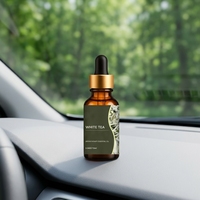 Diffuseur d'arômes pour voiture en bouteille de verre, huile de recharge, parfum longue durée, évaporation naturelle pour éliminer les odeurs de voiture