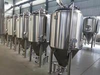 Fermenteur Tonsen Ckt avec équipement de production de malt Grainfather