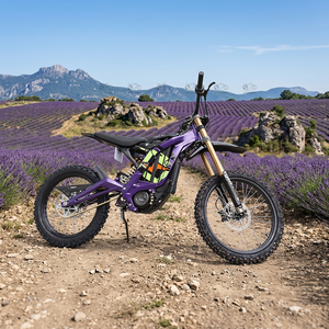 Sur Ron Light X 2025 Moto Tout-Terrain Électrique 8KW 60V 40Ah pour Adultes, Dirt Bike Surron Light Bee X, Motos Électriques Tout-Terrain - Product Image 4