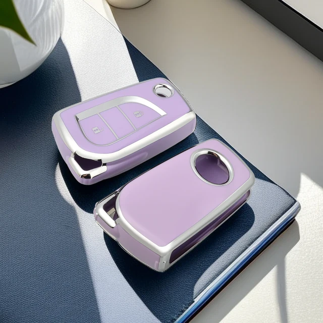 Argent violet