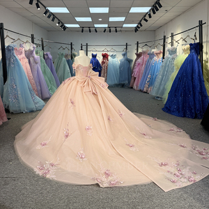 Robes de Quinceañera en mousseline de soie rose princesse Dy6919, taille naturelle, appliques en dentelle, robe de bal de fin d'année pour fête des 15 ans - Product Image 4