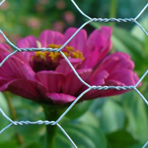 Jaring baja memutar pagar galvanis pagar jaring taman baja gulungan heksagonal kawat jala pagar - Product Image 3