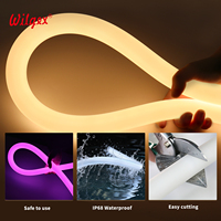 Nouveau Néon Flexible LED 30mm 360° à Courant Constant IC IP68 en Silicone Basse Tension, Contrôle DMX512, pour Éclairage Architectural – Vente Directe Usine