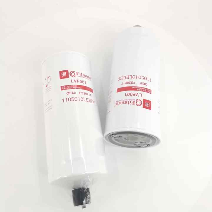 New Model Fuel Filter for Chinese Truck FS20217 Cross Reference