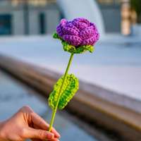 Bingcheng À La Main Tricot Rose Fleurs Bouquet Creative Laine Coton Crochet Fleurs Nouveau En Gros Creative Cadeaux Produit